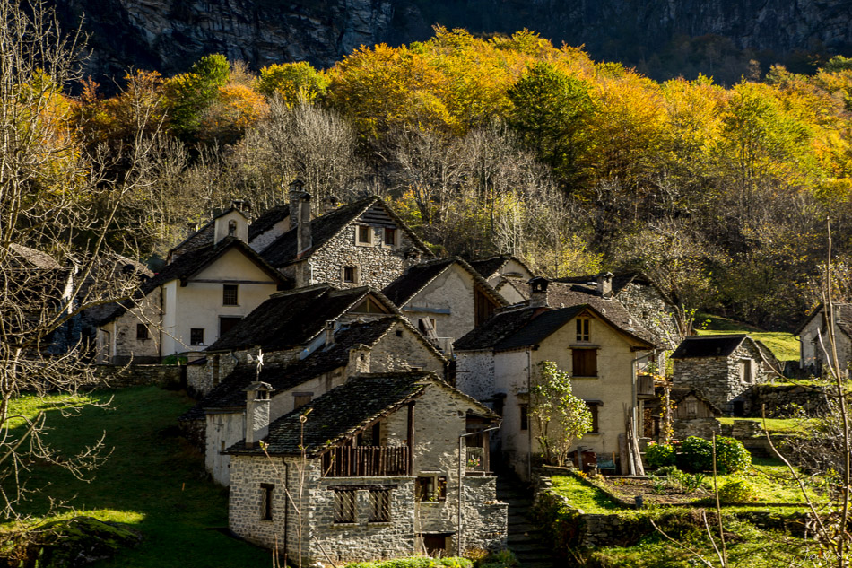 Tessiner Steinhaus mit gelbem Herbstlaub im Hintergrund, sonnige Herbststimmung im Tessin Schweiz – Jan Geerk Fotograf Basel