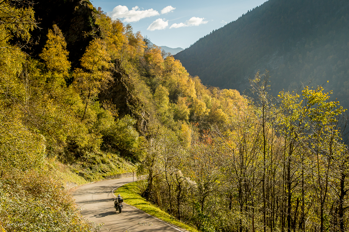 Motorradfahrer auf kurvenreicher Bergstrasse durch goldene Herbstlärchen im Tessin Schweiz – Jan Geerk Fotograf Basel
