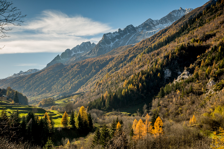 Herbstliche Alplandschaft im Tessin mit goldenen Lärchen, schneebedeckten Bergen und grünen Wiesen – Schweiz Jan Geerk Fotograf Basel