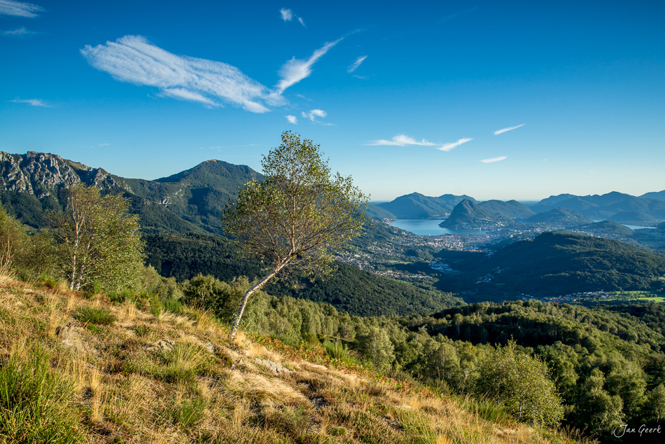 Berglandschaft mit See im Tessin, Sommerlich grüne Hänge und Birke, Schweiz – Jan Geerk Fotograf Basel