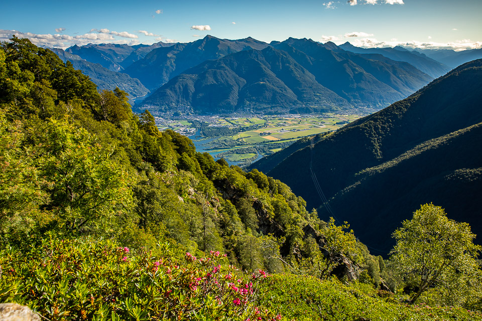 Alpenpanorama Monte Gambarogno mit Lago Maggiore und Tessiner Bergkette im Sommerlicht Schweiz Jan Geerk Fotograf Basel