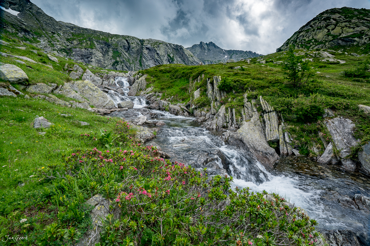 Bergbach mit rosa Alpenblumen im Maggiatal Tessin Schweiz Sommer – Jan Geerk Fotograf Basel