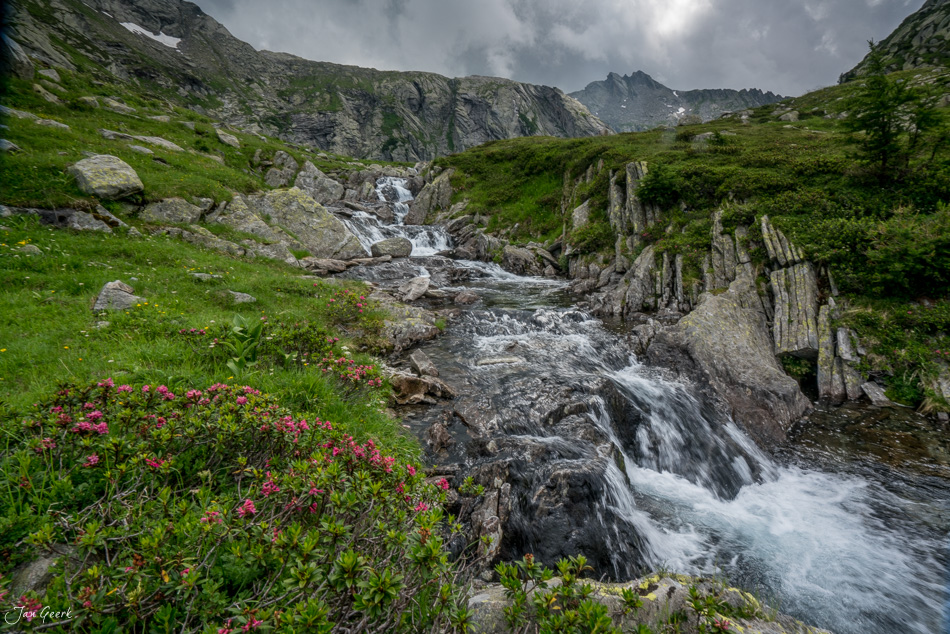 Gebirgsbach mit rosa Alpenblumen im Maggiatal Tessin Schweiz – Jan Geerk Fotograf Basel