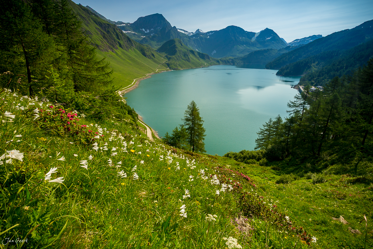 Blaugrüner Bergsee Maggiatal mit Alpwiese Blumen Tessin Schweiz Jan Geerk Fotograf Basel
