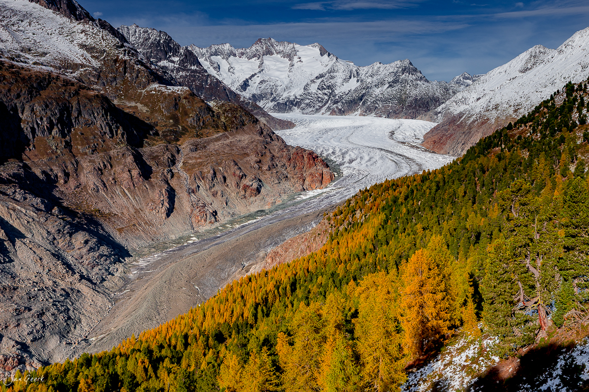 Aletschgletscher mit Herbstlärchen, schneebedeckte Berggipfel, goldenes Herbstlicht, Wallis Schweiz – Jan Geerk Fotograf Basel