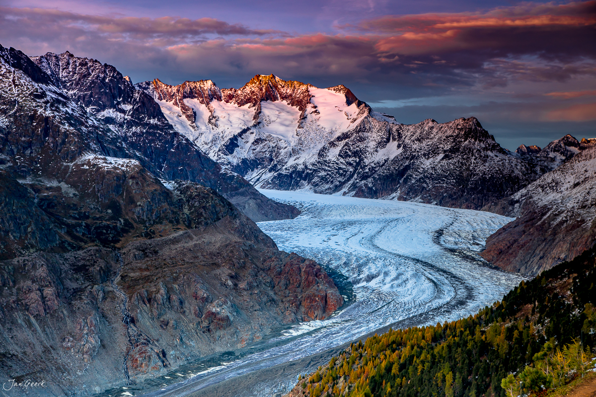 Aletschgletscher mit schneebedeckten Gipfeln bei Sonnenaufgang, Herbstlärchen im Vordergrund, Wallis Schweiz – Jan Geerk Fotograf Basel