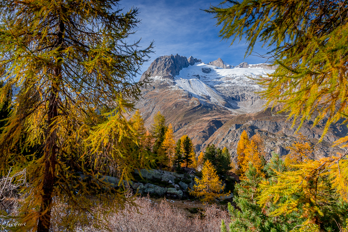 Herbstliche Lärchen im Aletschgebiet mit schneebedecktem Gletscher und Bergpanorama Wallis Schweiz – Jan Geerk Fotograf Basel
