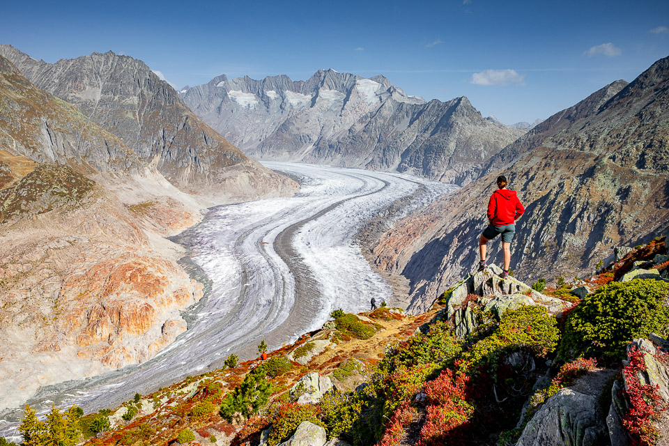 Wanderer in roter Jacke am Aletschgletscher mit Gletscherzungen und Herbstvegetation, Wallis Schweiz – Jan Geerk Fotograf Basel