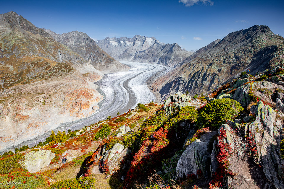 Aletschgletscher mit Herbstfärbung und schneebedeckten Gipfeln, Wallis Schweiz – Jan Geerk Fotograf Basel