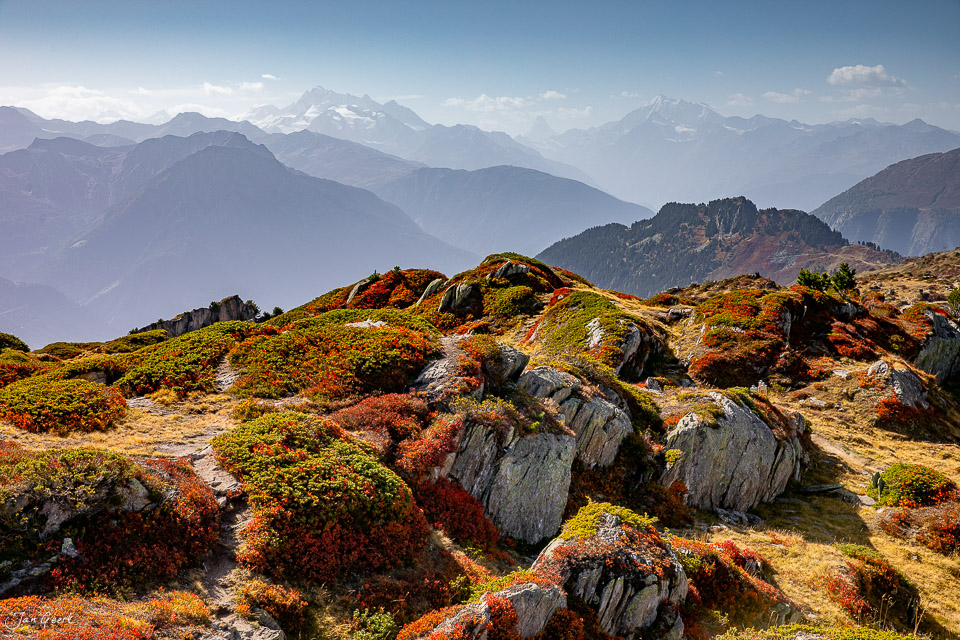 Herbstliche Alplandschaft am Aletschgletscher mit Felsen und Moosen, Wallis Schweiz – Jan Geerk Fotograf Basel