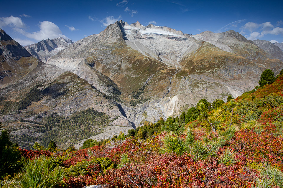 Aletschgletscher mit herbstlicher Alpenboten-Flora im Wallis Schweiz – Jan Geerk Fotograf Basel