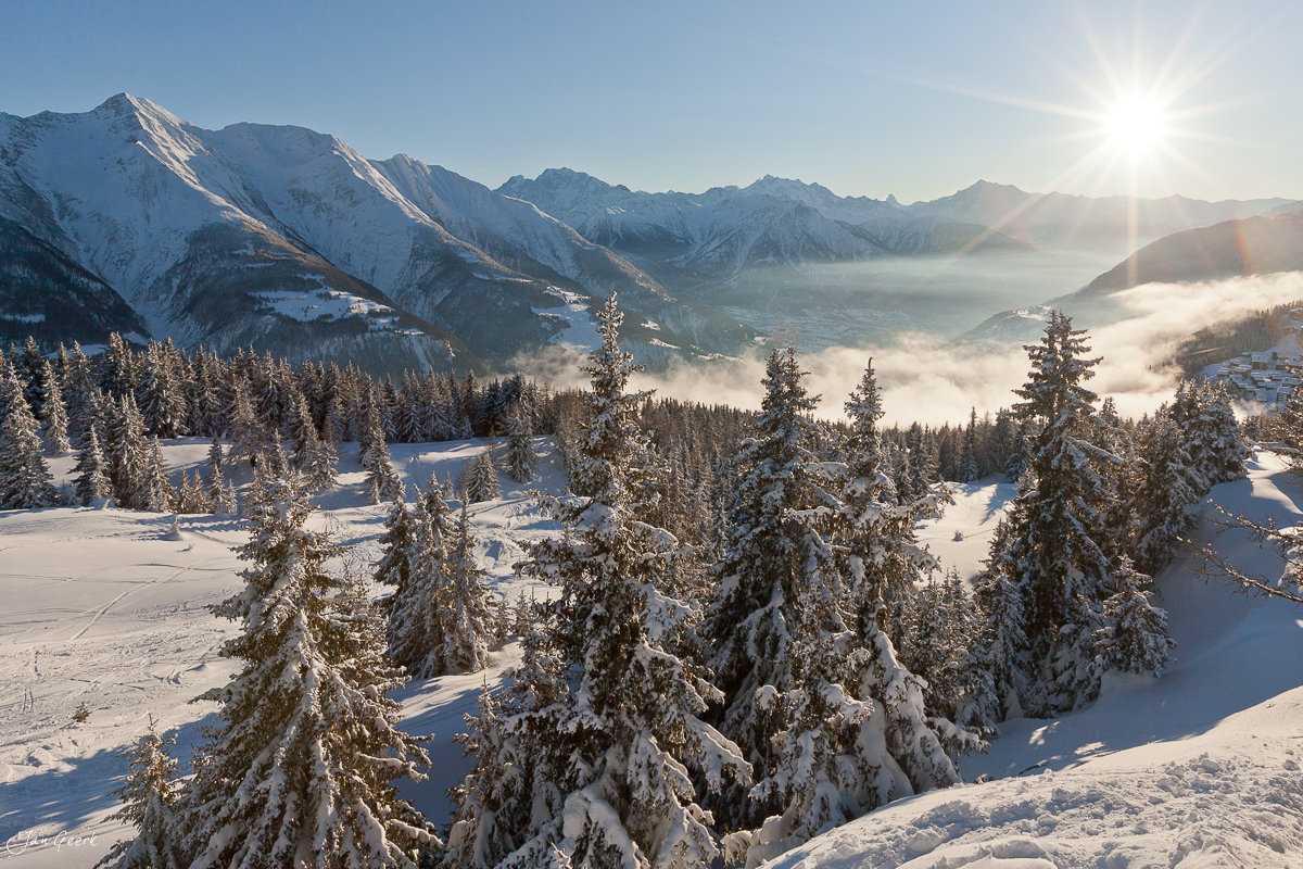 Schneebedeckte Fichten Bettmeralp Aletschgletscher Wintersonnenaufgang Wallis Schweiz Jan Geerk