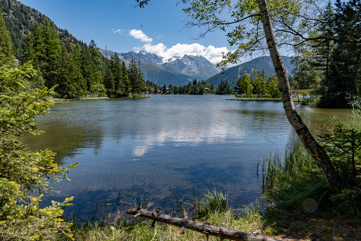 Alpensee Champex mit Bergpanorama, Wald und Birke im Sommer, Wallis Schweiz – Jan Geerk Fotograf Basel
