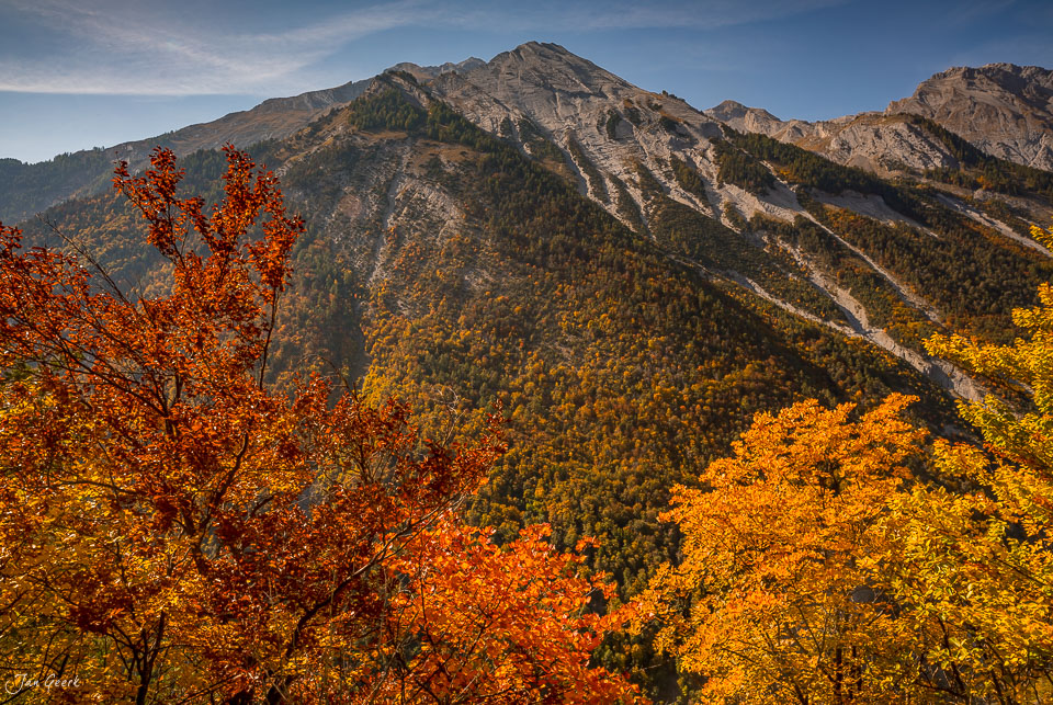 Herbstliche Lärchenwälder mit rot-orangen Bäumen am Derborence unter blauem Himmel Wallis Schweiz Jan Geerk Fotograf Basel