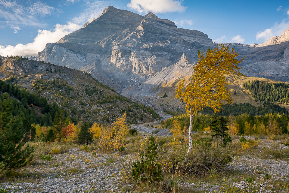 Herbstliche Berglandschaft mit goldenem Lärchen am Lac de Dérborence im Wallis Schweiz von Fotograf Jan Geerk Basel