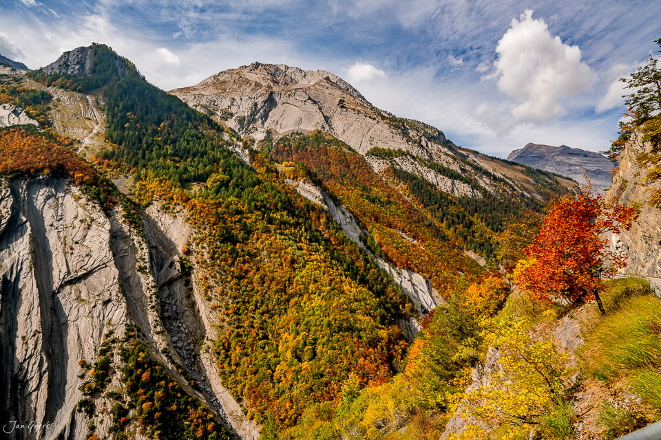 Herbstliche Berglandschaft mit Felswänden und goldenem Laub bei Derborence im Wallis, Schweiz – Jan Geerk Fotograf Basel