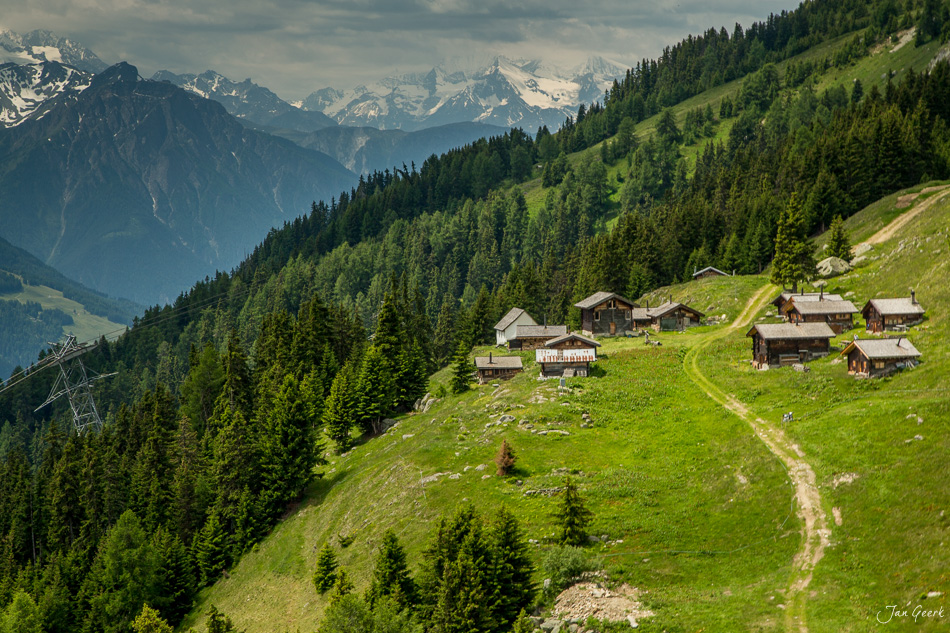 Bergdorf Fiescheralp mit Chalets auf grüner Alp, schneebedeckte Berggipfel im Hintergrund, Sommer, Wallis Schweiz – Jan Geerk Fotograf Basel