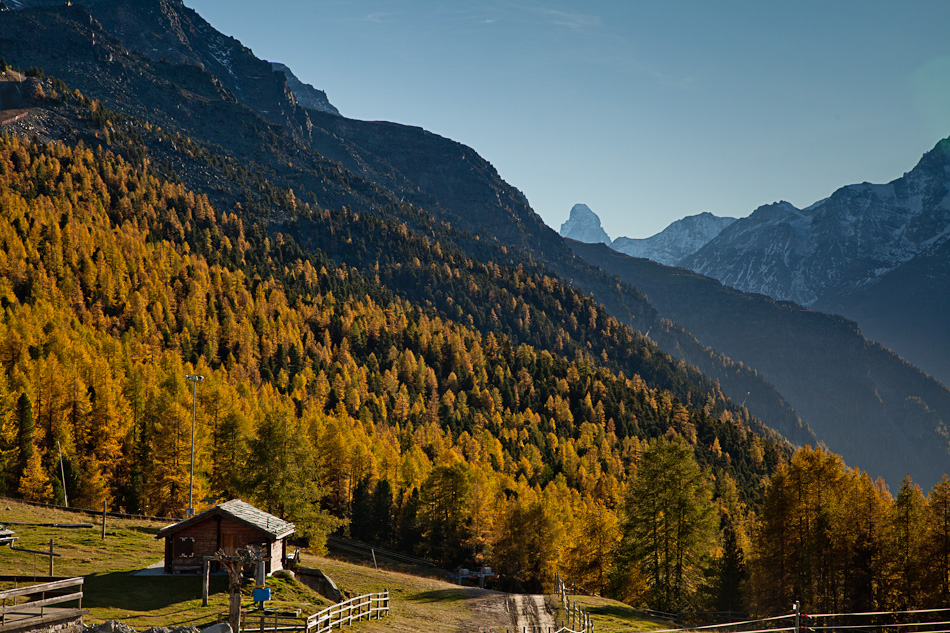 Alpweide Grächen Herbstlärchen Herbst Wallis Schweiz – Jan Geerk Fotograf Basel