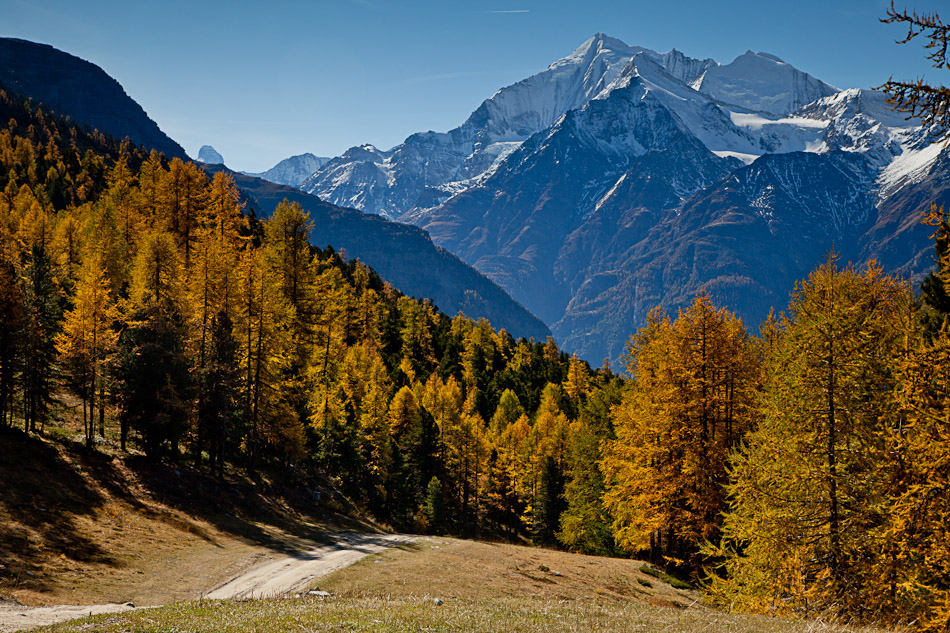 Herbstliche Lärchenwälder Grächen Wallis Schweiz golden beleuchtete Alpengipfel – Jan Geerk Fotograf Basel