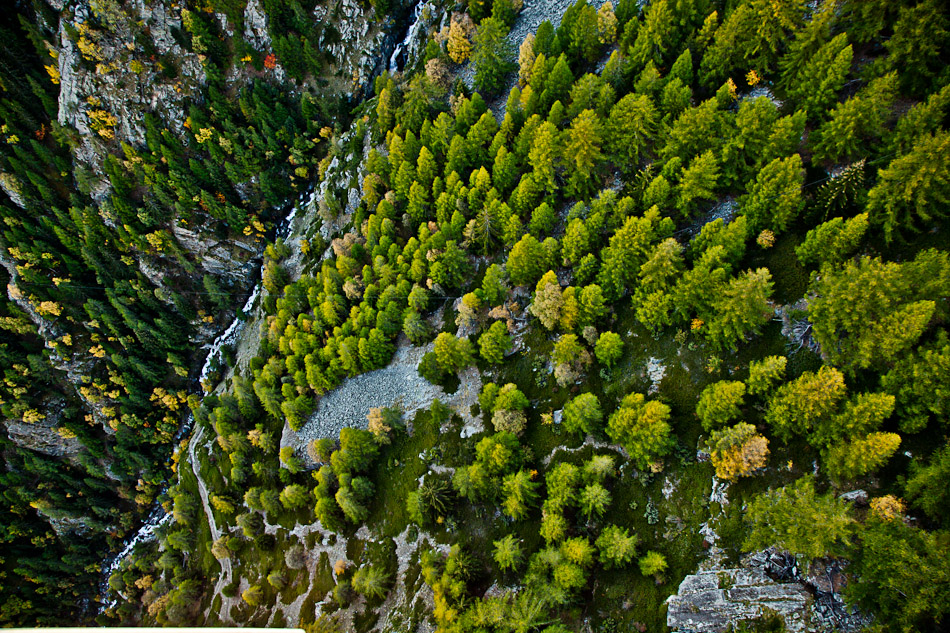 Grachen Gebirgsbach Nadelwald Herbst Wallis Schweiz – Jan Geerk Fotograf Basel
