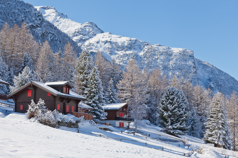 Bergalp Grachen Winter Schnee verschneite Lärchen Wallis Schweiz Jan Geerk Fotograf Basel