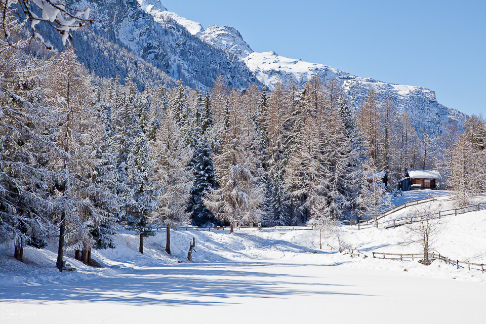 Schneebedeckte Lärchenwälder Grächen Winter Alpentäler Wallis Schweiz – Jan Geerk Fotograf Basel