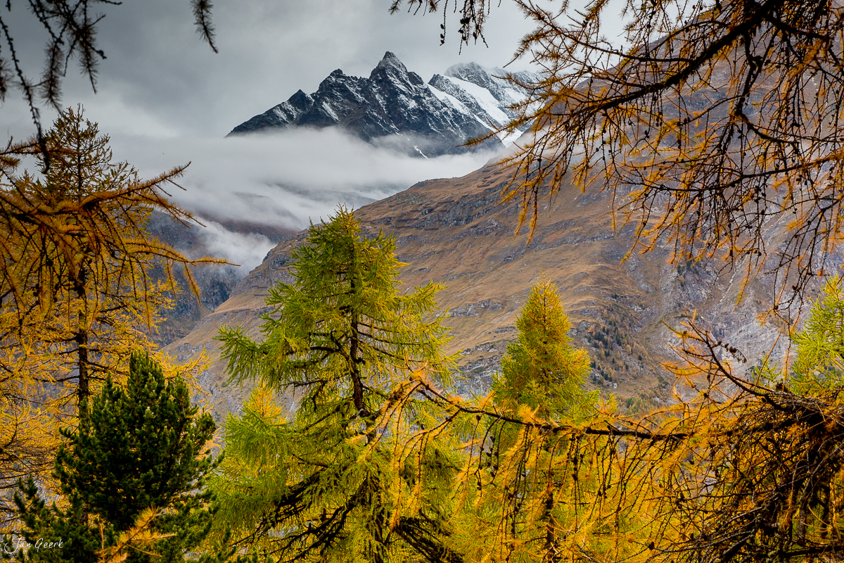 Lärchenwald mit Herbstfärbung und verschneitem Matterhorn im Hintergrund, Gornergrat Zermatt Schweiz – Jan Geerk Fotograf Basel