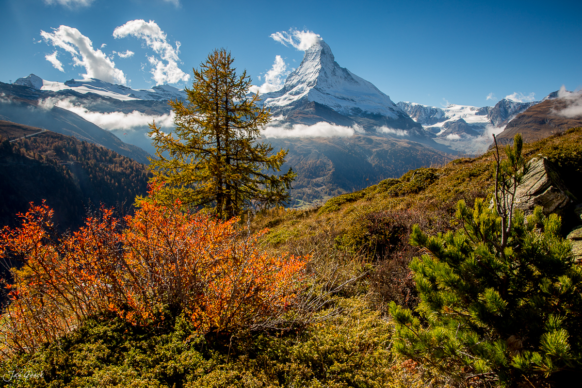 Matterhorn Herbstlandschaft mit Lärchen und Alpenkräutern im Gornergrat Zermatt Schweiz Jan Geerk Fotograf Basel