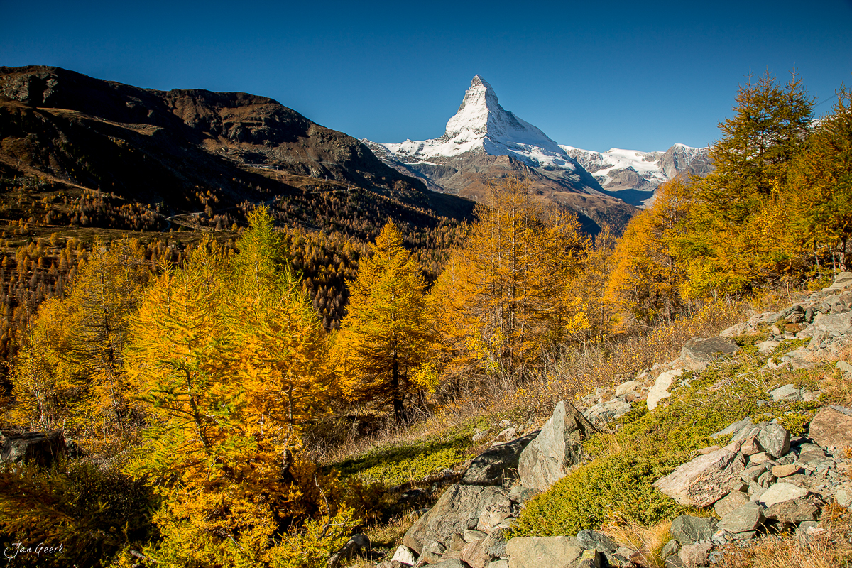Matterhorn mit goldenem Lärchenwald im Herbst Zermatt Wallis Schweiz – Jan Geerk Fotograf Basel