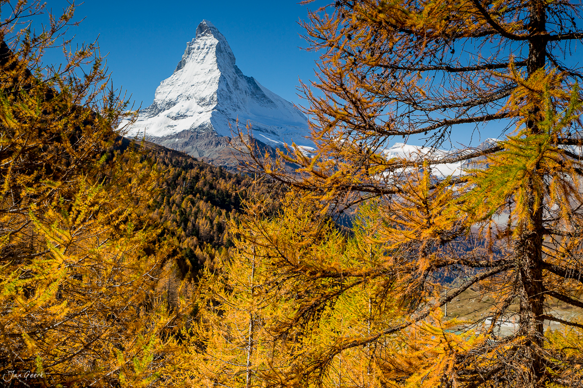 Matterhorn mit herbstlich gefärbten Lärchen im Vordergrund, Zermatt Wallis Schweiz – Jan Geerk Fotograf Basel