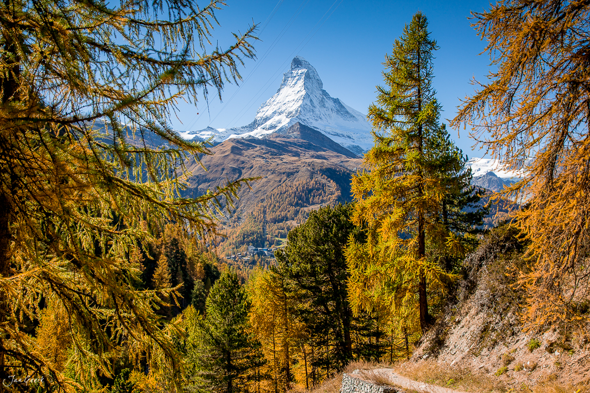 Matterhorn Herbstwald Lärchen Golden Hour Zermatt Wallis Schweiz Jan Geerk Fotograf Basel