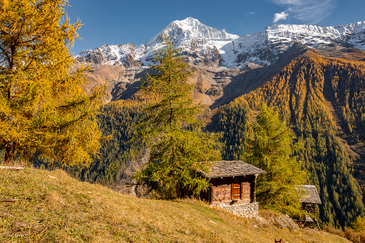 Herbstliche Bergweide mit Lärchenwald und schneebedecktem Berg im Lötschental Wallis Schweiz – Jan Geerk Fotograf Basel