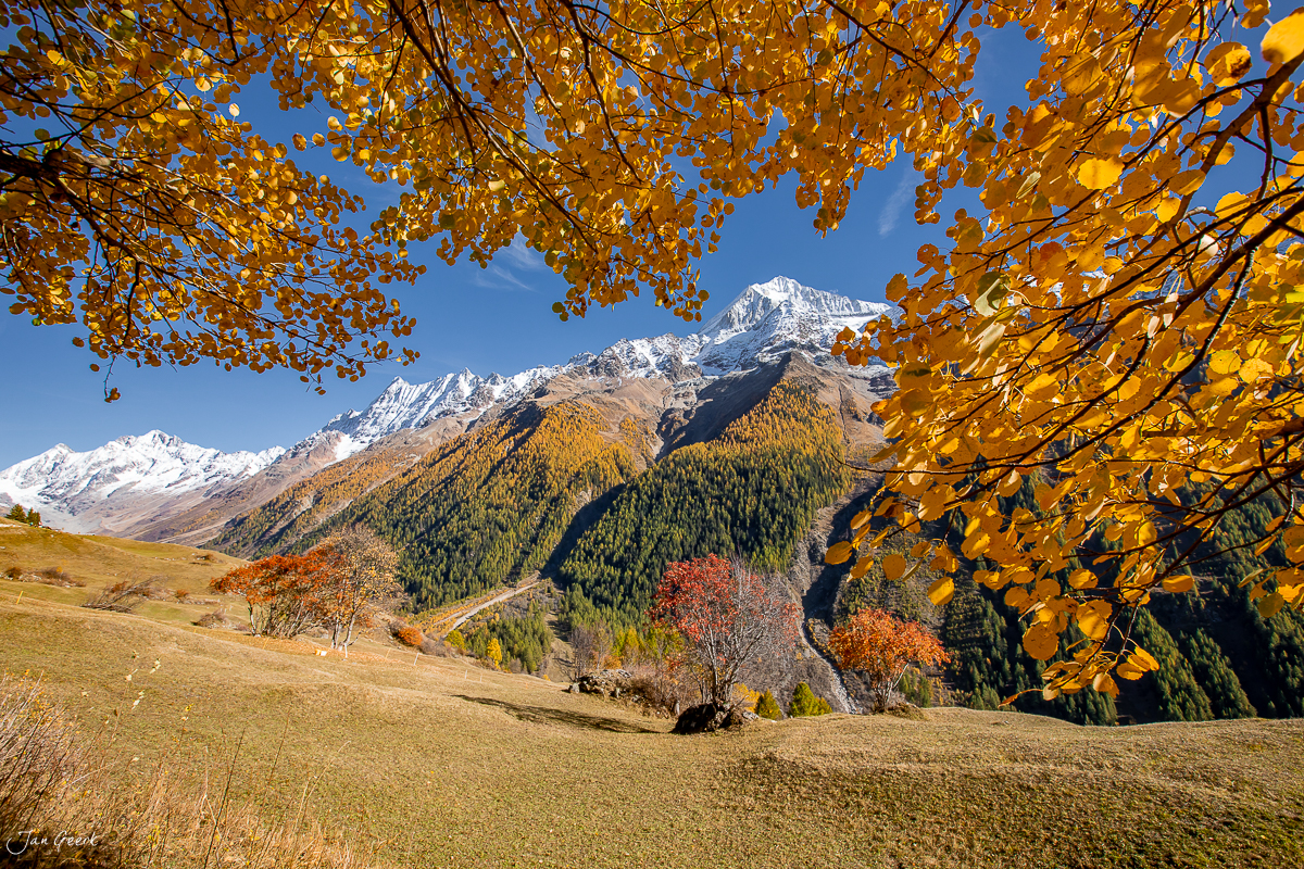 Herbstliche Lärchen mit schneebedeckten Bergen im Lötschental Wallis Schweiz – Jan Geerk Fotograf Basel