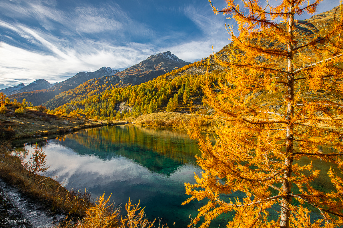 Herbstliche Lärchenlandschaft am Grundsee im Lötschental mit spiegelndem Wasser, goldenen Bäumen und Bergen im Wallis, Schweiz – Jan Geerk Fotograf Basel