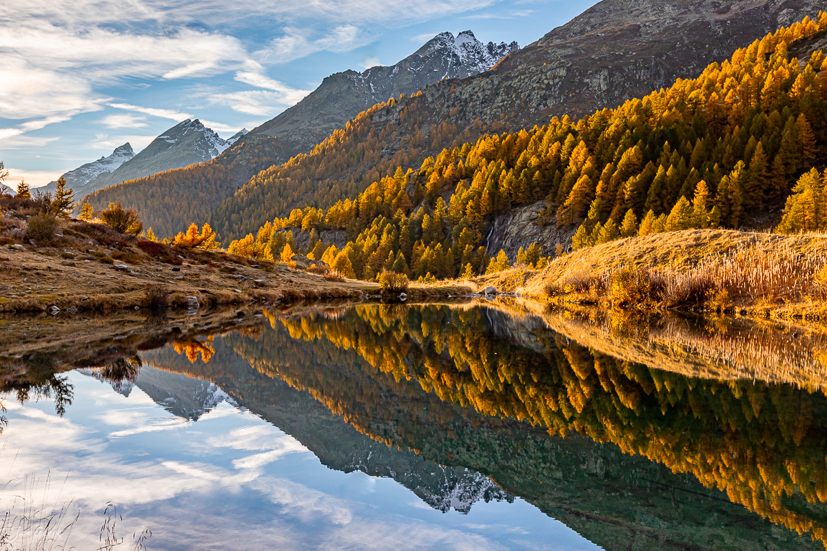 Herbstliche Lärchen spiegeln sich im See des Lötschentals, Wallis, Schweiz – Jan Geerk Fotograf Basel
