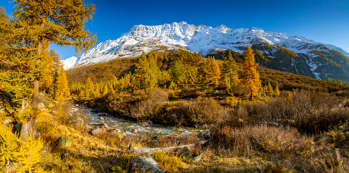 Herbstliche Lärchenwälder mit schneebedecktem Berg im Lötschental Wallis Schweiz – Jan Geerk Fotograf Basel
