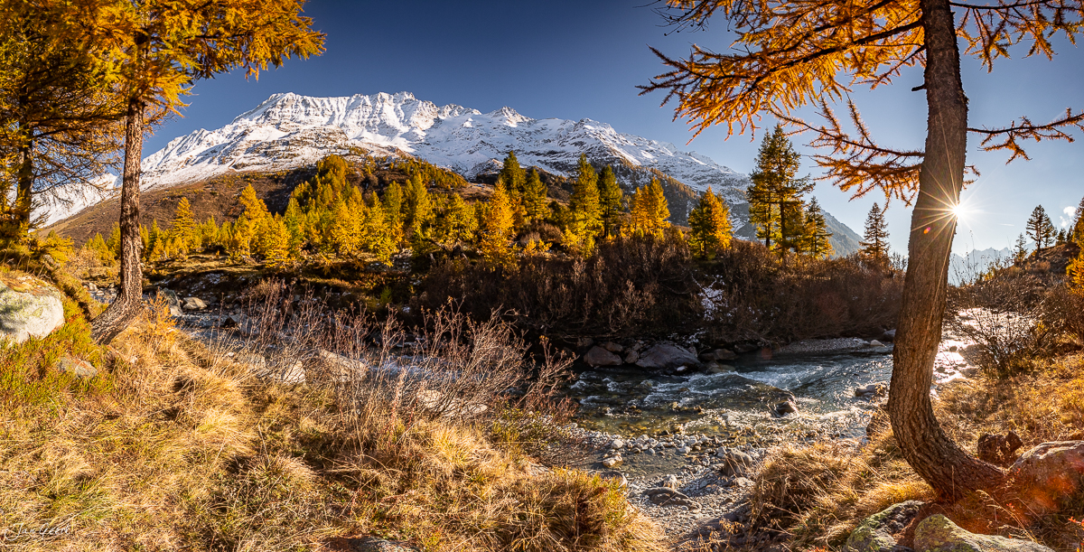 Herbstliche Lärchen am Bach im Lötschental mit schneebedecktem Berg dahinter Schweiz Jan Geerk Fotograf Basel