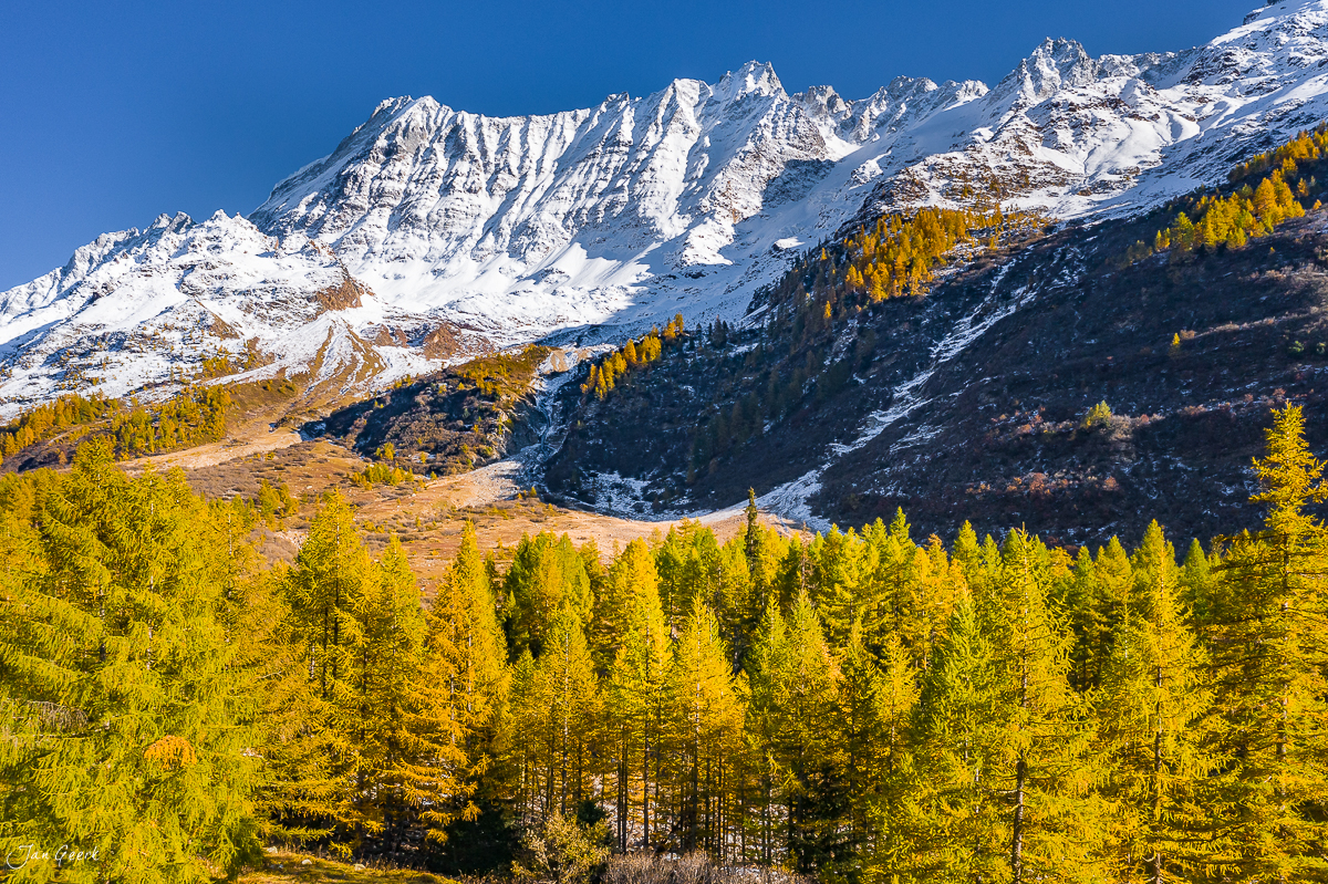 Herbstliche Lärchenwälder im Lötschental mit schneebedeckten Alpen und goldenem Kantlicht, Wallis Schweiz – Jan Geerk Fotograf Basel