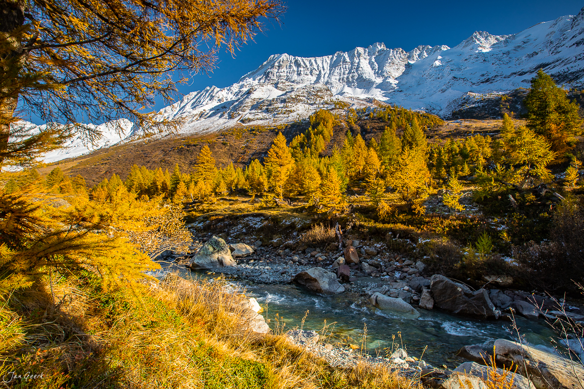 Herbstliche Lärchen am Bergbach im Lötschental mit schneebedecktem Gipfel, goldenes Kantlicht, Wallis Schweiz – Jan Geerk Fotograf Basel