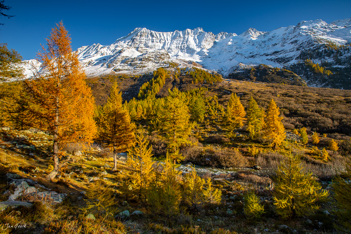 Herbstliche Lärchen im Lötschental mit schneebedeckten Alpen, Kantlicht, Wallis Schweiz – Jan Geerk Fotograf Basel