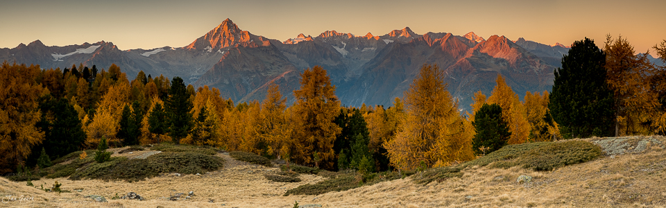 Herbstliche Lärchenwälder mit Bietschhorn und Mischabel bei Moosalp im Wallis, Schweiz – Jan Geerk Fotograf Basel