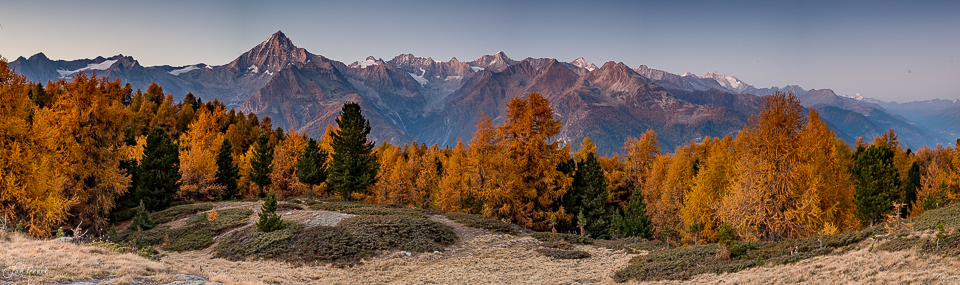 Herbstliche Lärchenwälder mit Bergpanorama auf der Moosalp im Wallis, Schweiz – Jan Geerk Fotograf Basel