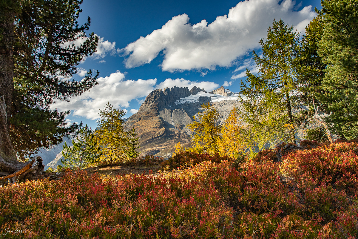 Herbstliche Berglandschaft mit Lärchen in der Riederalp, Blick auf schneebedeckte Gipfel und Gletscher, Wallis Schweiz – Jan Geerk Fotograf Basel