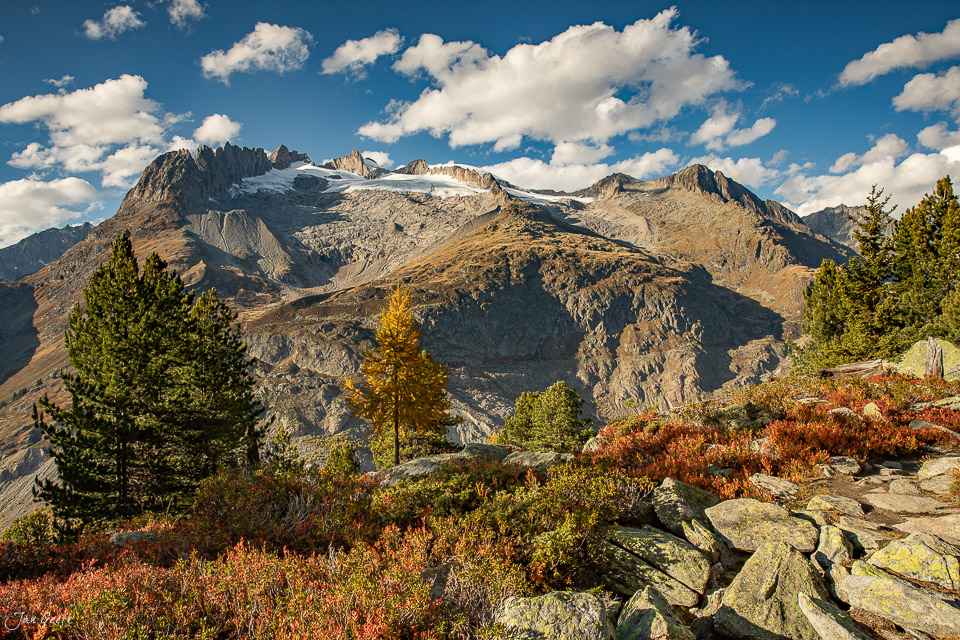 Herbstliche Berglandschaft Riederalp mit verschneitem Fiescherhorn und Aletschgletscher Wallis Schweiz Jan Geerk Fotograf Basel