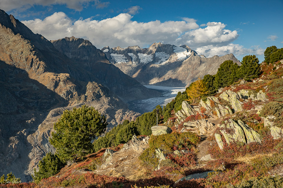 Aletschgletscher und Bergpanorama bei Riederalp im Herbstlicht, Wallis Schweiz – Jan Geerk Fotograf Basel