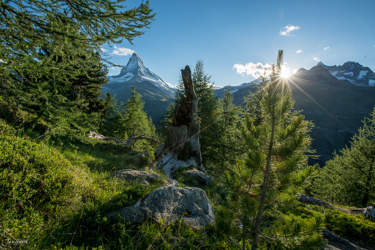 Baumstumpf und Bergpanorama in alpiner Landschaft, Riffelalp, Wallis, Schweiz – Jan Geerk Fotograf Basel