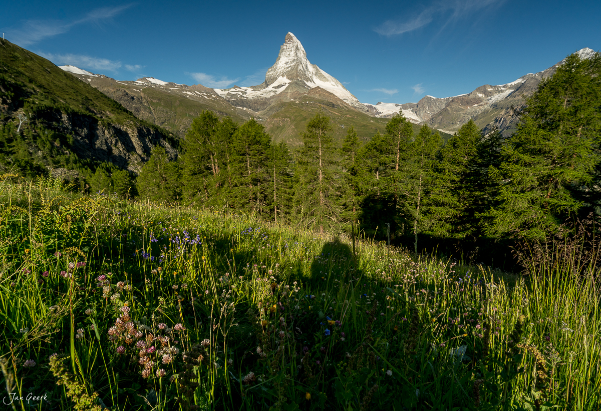 Alpenwiesenlandschaft mit Matterhorn im Hintergrund, Sommeraufnahme von Riffelalp in der Schweiz – Jan Geerk Fotograf Basel