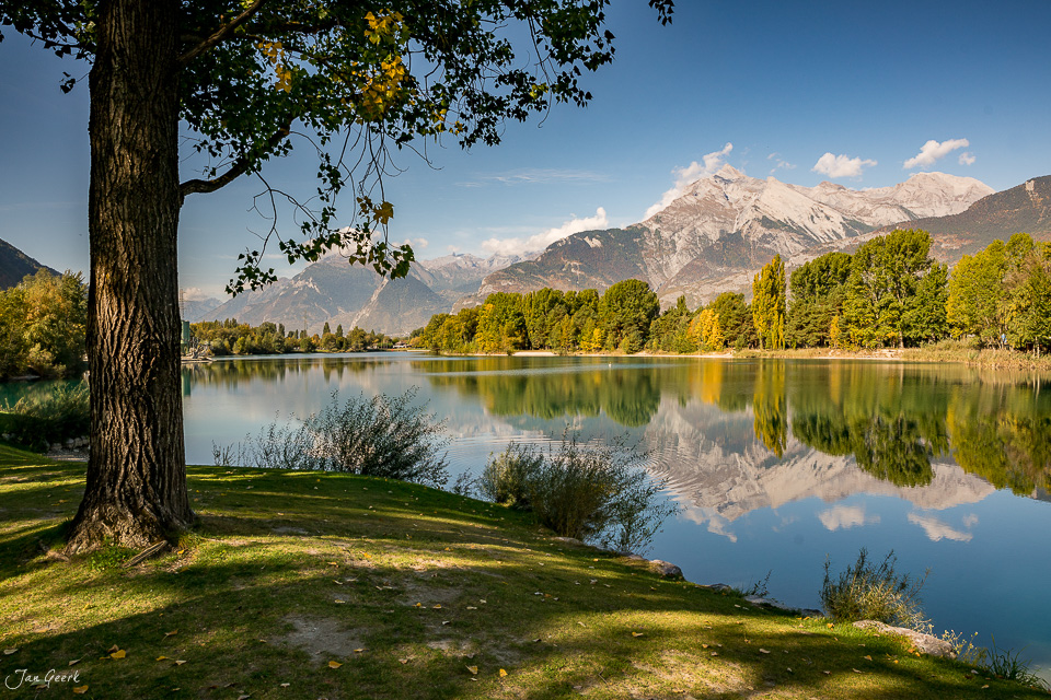 Alter Baum am See mit Bergspiegelung in Sion, Herbstlicht, Wallis Schweiz – Jan Geerk Fotograf Basel