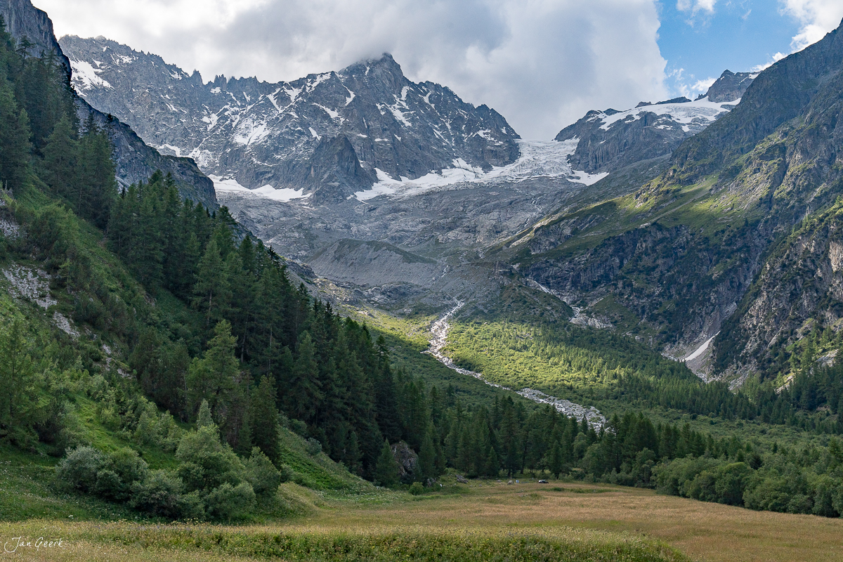 Alpental mit Gletscher und Koniferen im Sommer, Wallis, Schweiz – Jan Geerk Fotograf Basel
