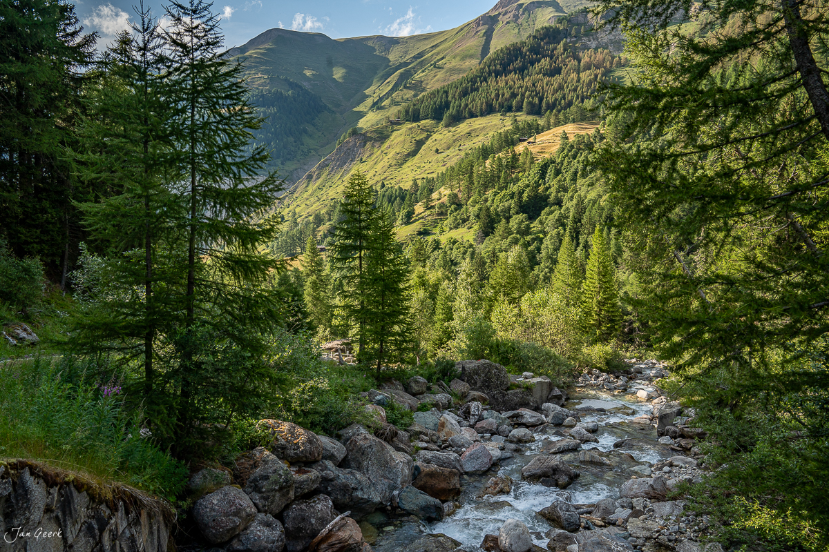 Bergbach im Wald Goms mit grünen Lärchen und Bergpanorama Sommer Schweiz – Jan Geerk Fotograf Basel